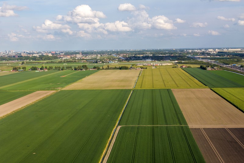 Regelgeving scheuren grasland